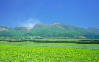 Nature Wallpaper Cool