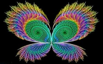 Neon Colors Rock Image Butterfly Wallpaper Photos