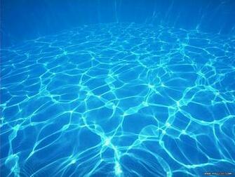 Blue Ocean Wallpaper Animals Wallpaper11 Wallcoo Net