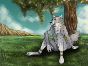 Anthro Wolf Wallpaper Random By