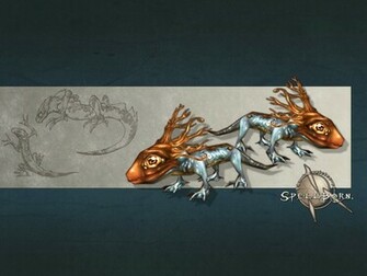 Gecko Wallpaper