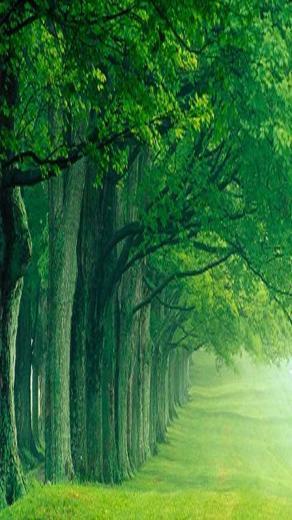 Wallpaper Samsung Galaxy S3