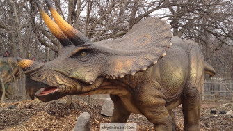 Wallpaper Triceratops Image