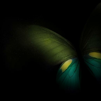 Customize Your Smartphone With The Samsung Galaxy Fold S Wallpaper