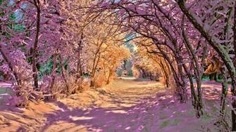 Nice Winter Wallpaper
