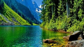 Nature Wallpaper
