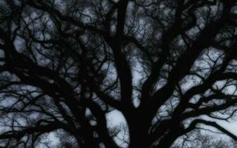 Black Surreal Wallpaper