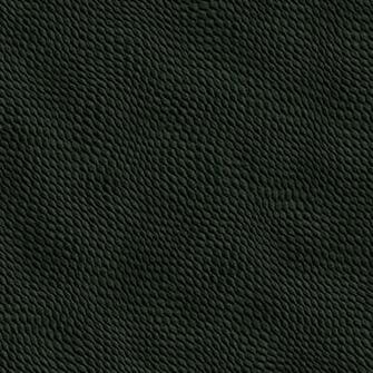 Skin Reptile Lizard Snakes Frog Snake Background