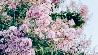 Spring Tech Background For Your Computer And iPhone
