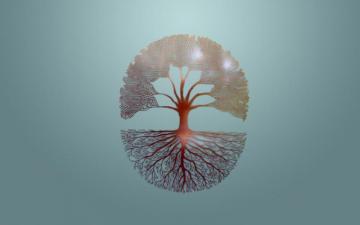 Branches And Roots Of A Tree Gray Background