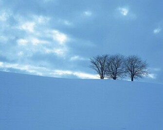 Desktop Wallpaper Snow In HD