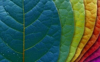 Color Swatch Nature Wallpaper HD