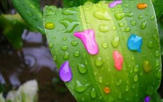 Raindrops Bright Colors Wallpaper