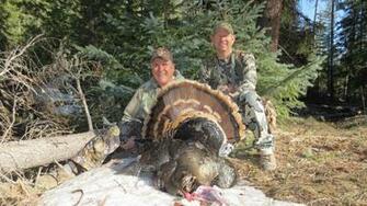 Spring Turkey Hunting Wallpaper Hunt Pics