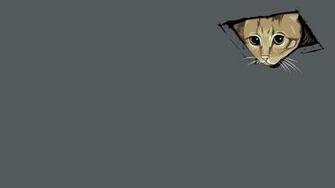 Image Gallery Meme Wallpaper