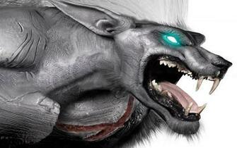 Pin Wallpaper De Lobos