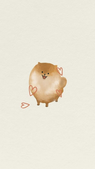 Cute Wallpaper For Your iPhone To Dog