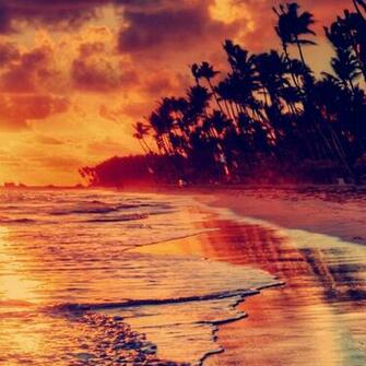 Nature Fire Sunset Beach HD Wallpaper