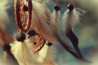Beautiful Dream Catchers Wallpaper Catcher By Fucute