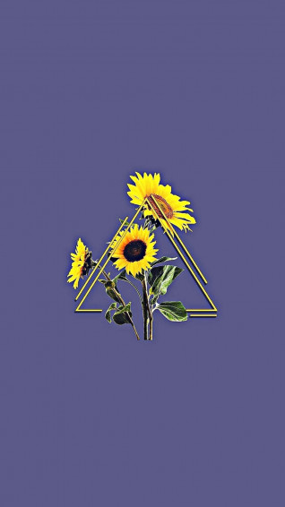Sunflower Yellow Aesthetic Wallpaper