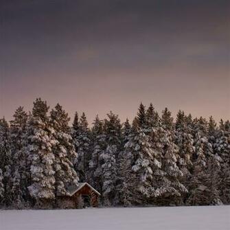 iPad Wallpaper Winter Part I