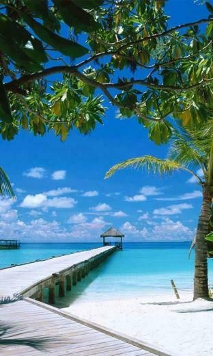 Beach Live Wallpaper Android Apps On Google Play