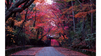 Japan Wallpaper 4k