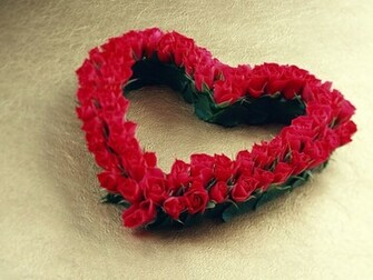Wallpaper Beautiful Rose