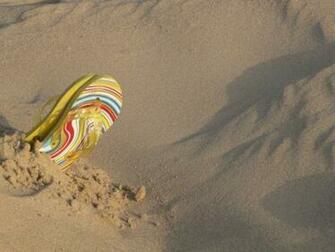 Flip Flop