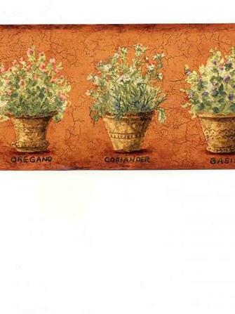 Discount Wallpaper Borders Children S