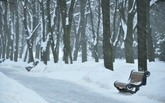 Blizzard Benches Wallpaper