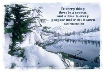 Let Us Know Which Bible Verses You Would Like To See