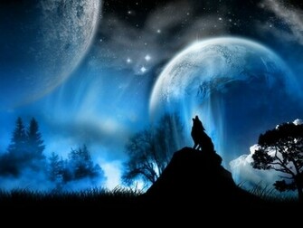 Black Wolf Wallpaper