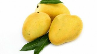 Mango Delicious Wallpaper HD
