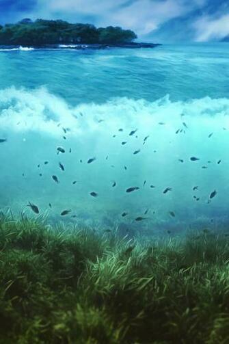 Aquatic