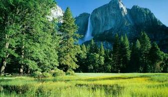 Yosemite National Park