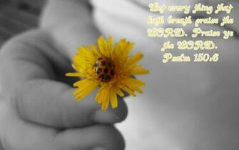 Bible Wallpaper Kjv Sps