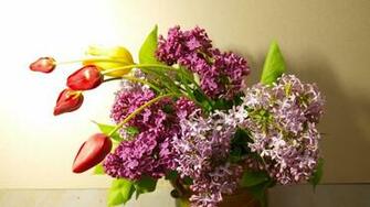 Wallpaper Lilacs Bloom Tulips Spring Laptop