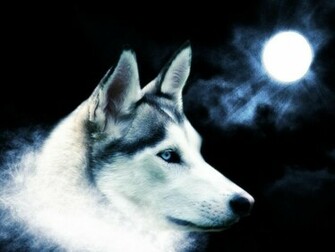Pixel Super Cool HD Wallpaper For Desktop Right Click