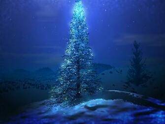 My Inner Fairy December