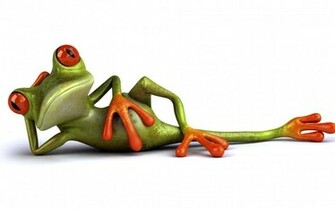 Frog Relax Funny Wallpaper HD Desktop And Mobile Background