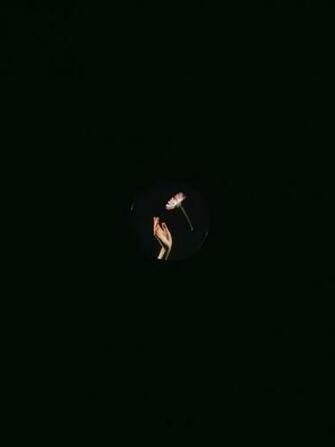 Amoled Wallpaper Best