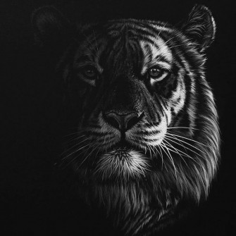 Pencil Drawing Wallpaper Black White