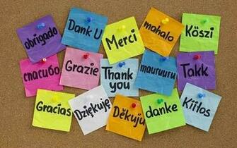 International Thank You Day Wallpaper HD Background
