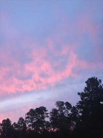 Neat Photo I Took One Morning Quite Beautiful Indeed Pastel