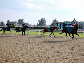 Horse Race Wallpaper Racing Pictures