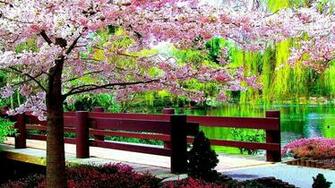 Spring Park Wallpaper HD Desktopinhq Net