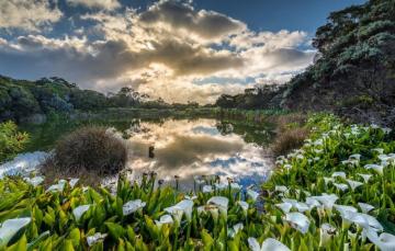 Wallpaper Sunset Reflexion Reunion Island Piton Water Image