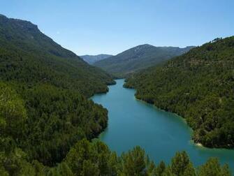 Pretty River Forest Wallpaper Stock Photos