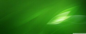 Japanese Green Tea Cup Wallpaper